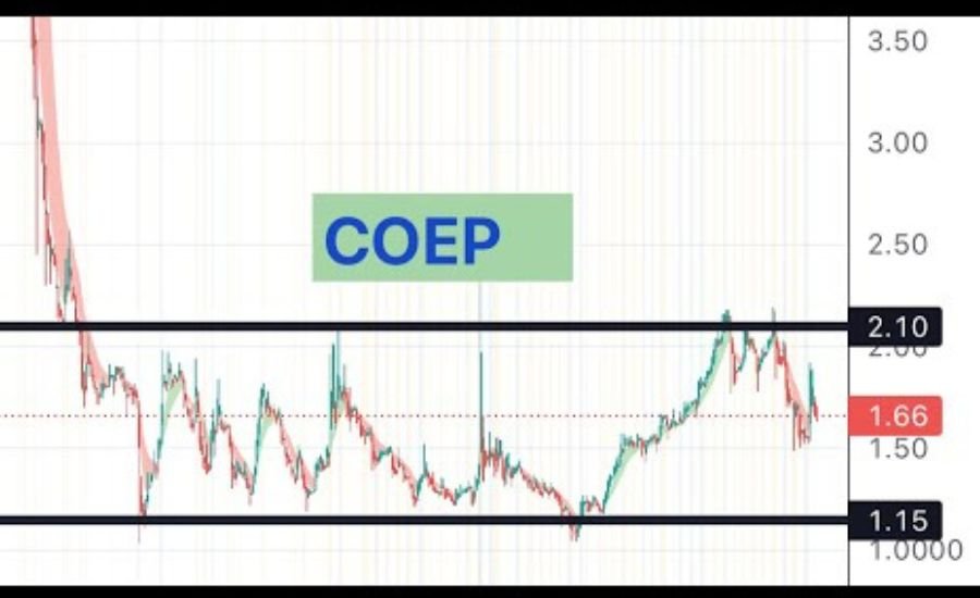 coep stock